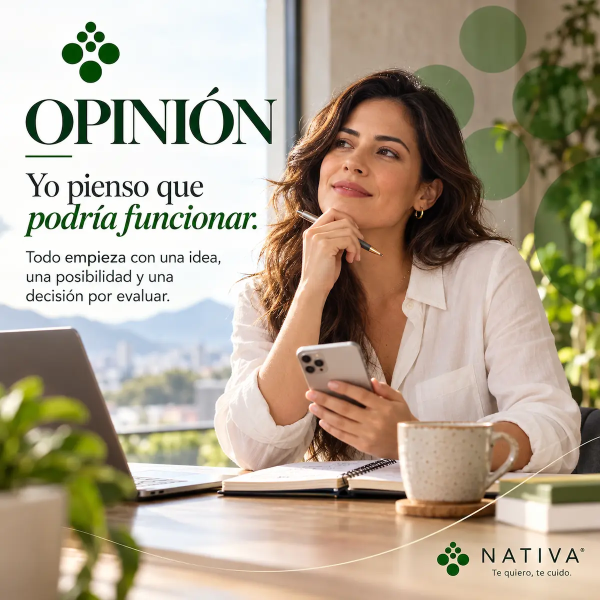 Etapa Opinión del sistema Nativa