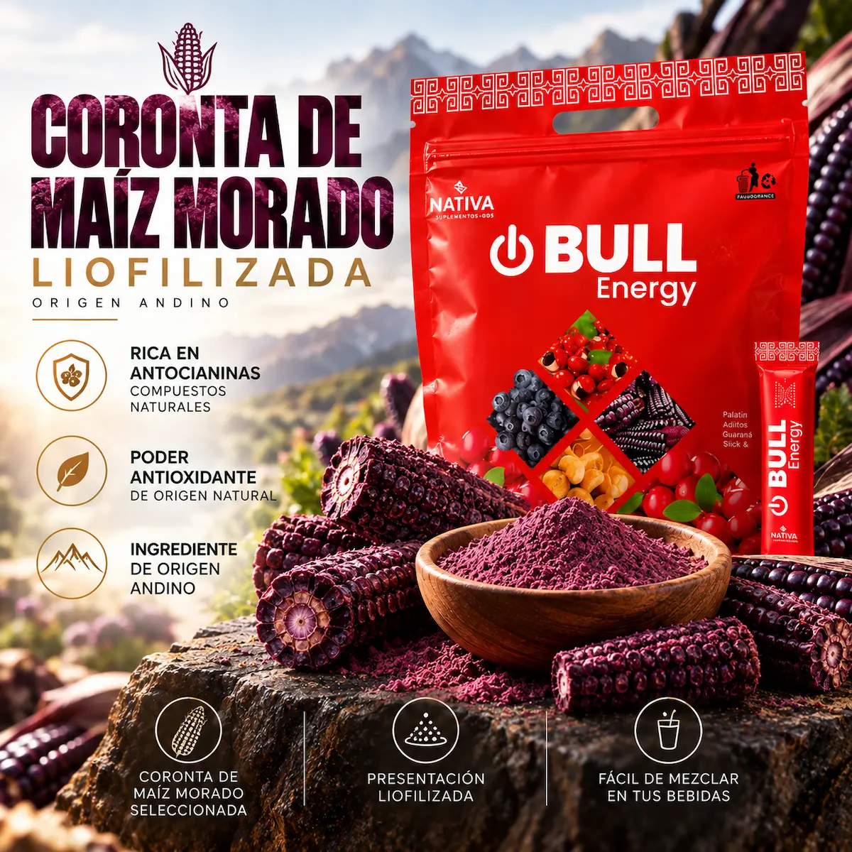 Coronta de maíz morado declarada en BULL