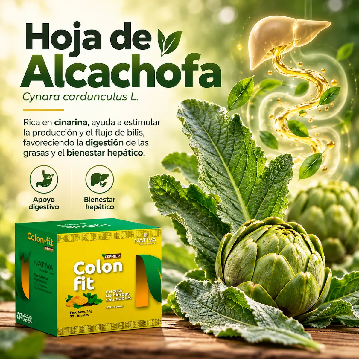 Alcachofa declarada en Colon Fit