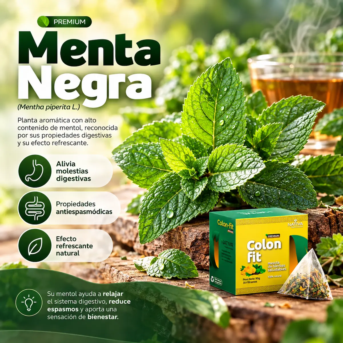 Menta negra declarada en Colon Fit