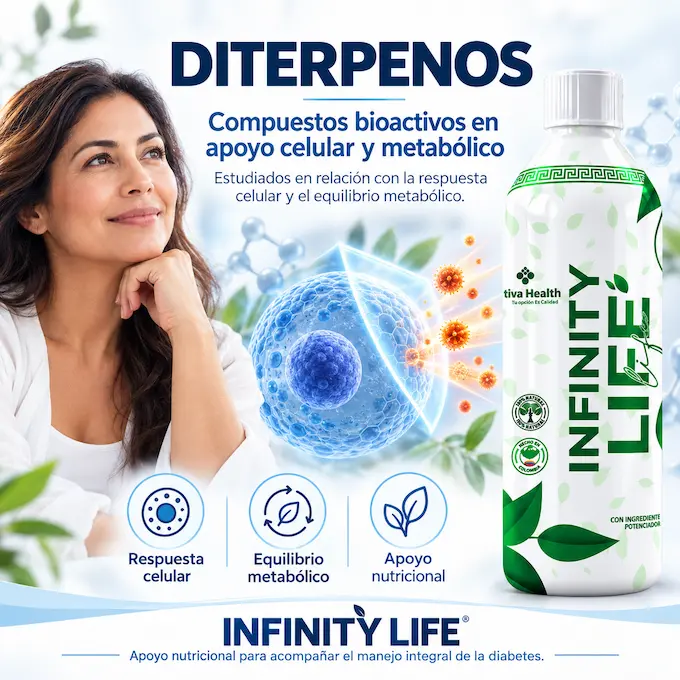 Diterpenos en Infinity Life: protección del sistema nervioso periférico