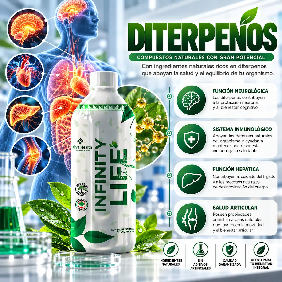 Diterpenos declarados en la fórmula de Infinity Life
