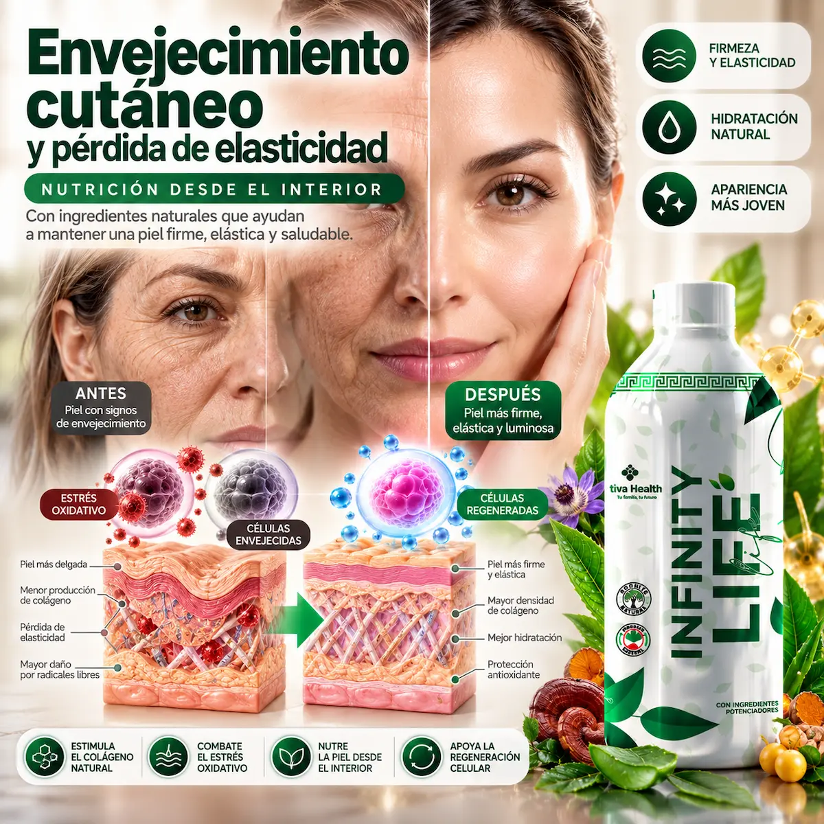 Contexto educativo sobre envejecimiento cutáneo y cuidado de la piel