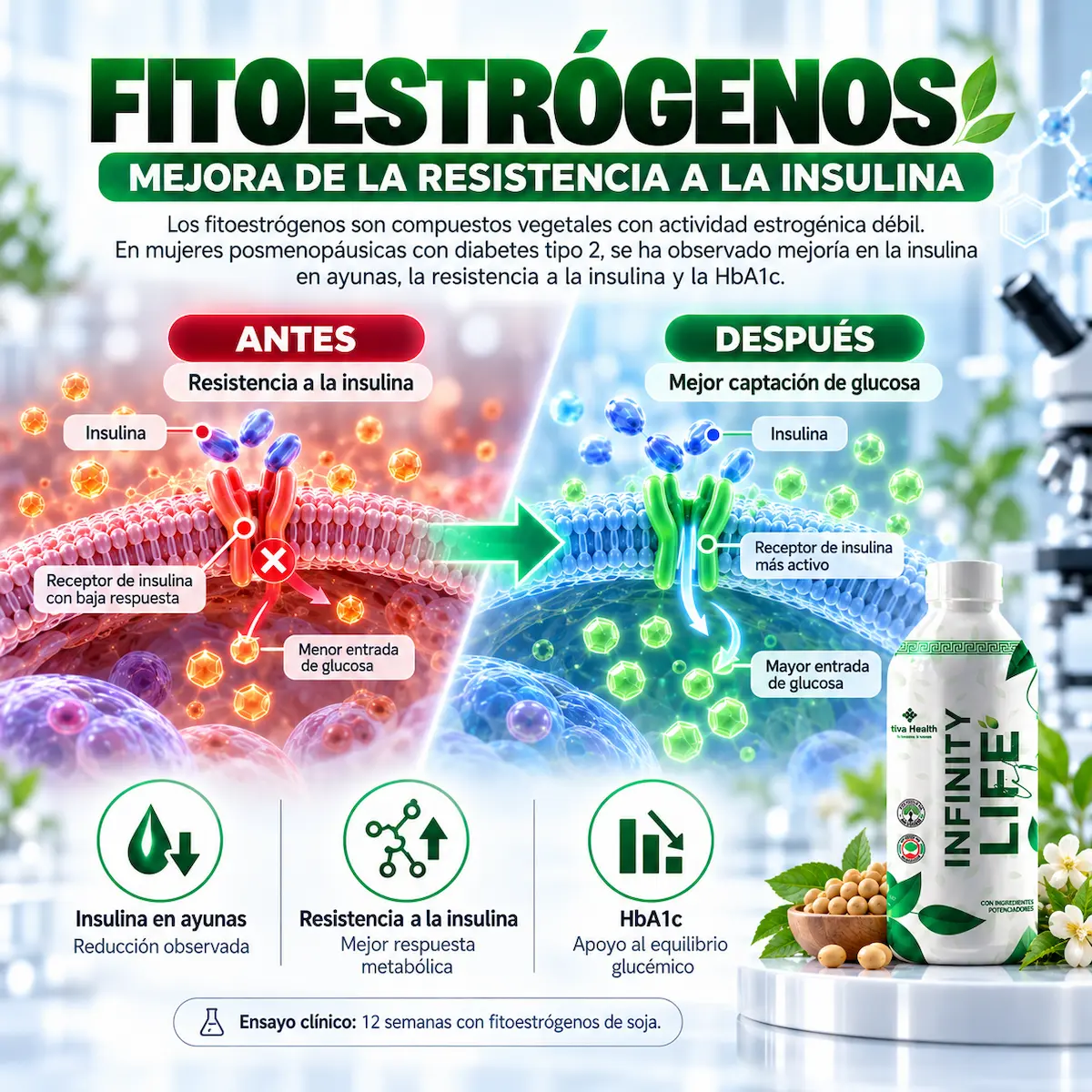 Fitoestrógenos declarados en la fórmula de Infinity Life