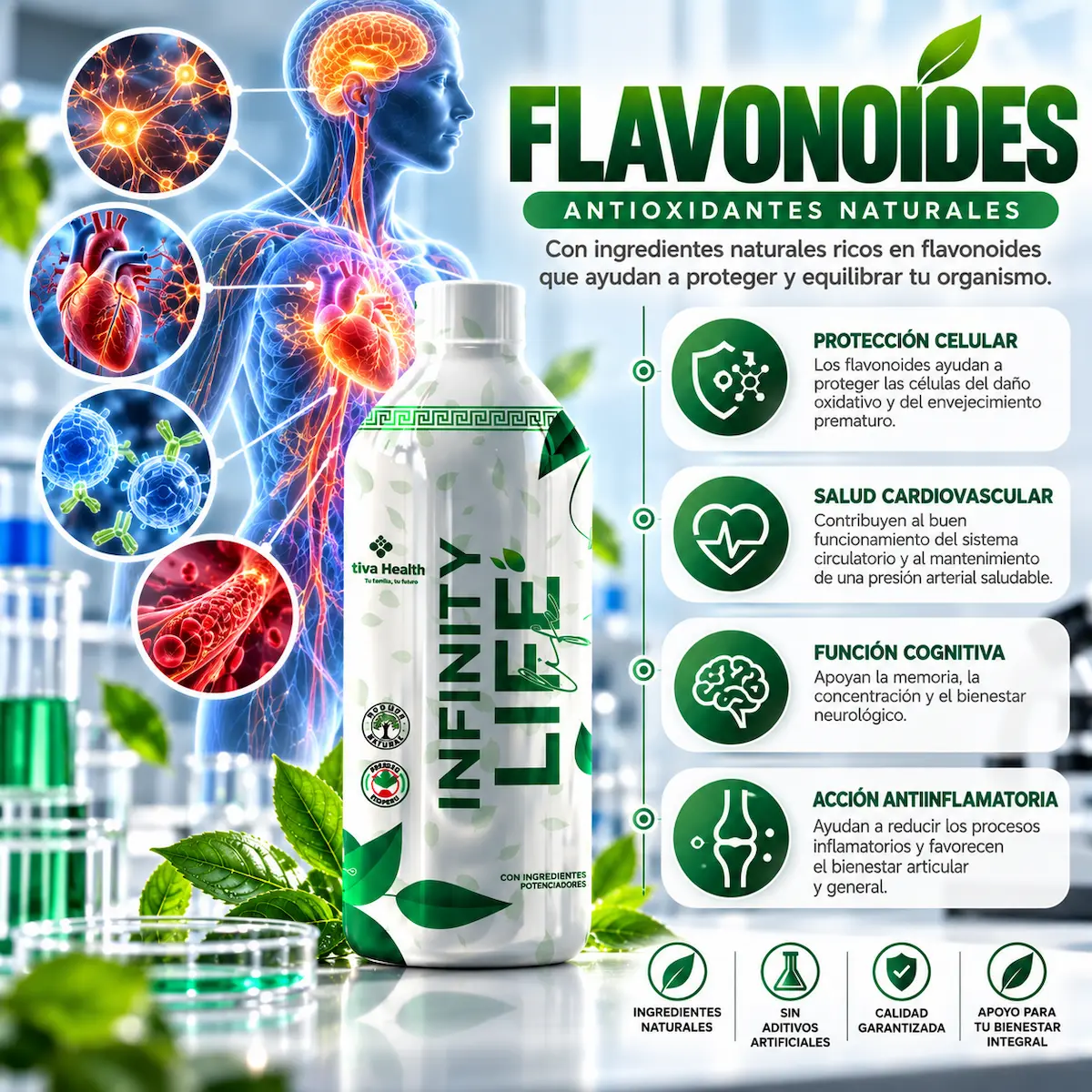 Flavonoides declarados en la fórmula de Infinity Life