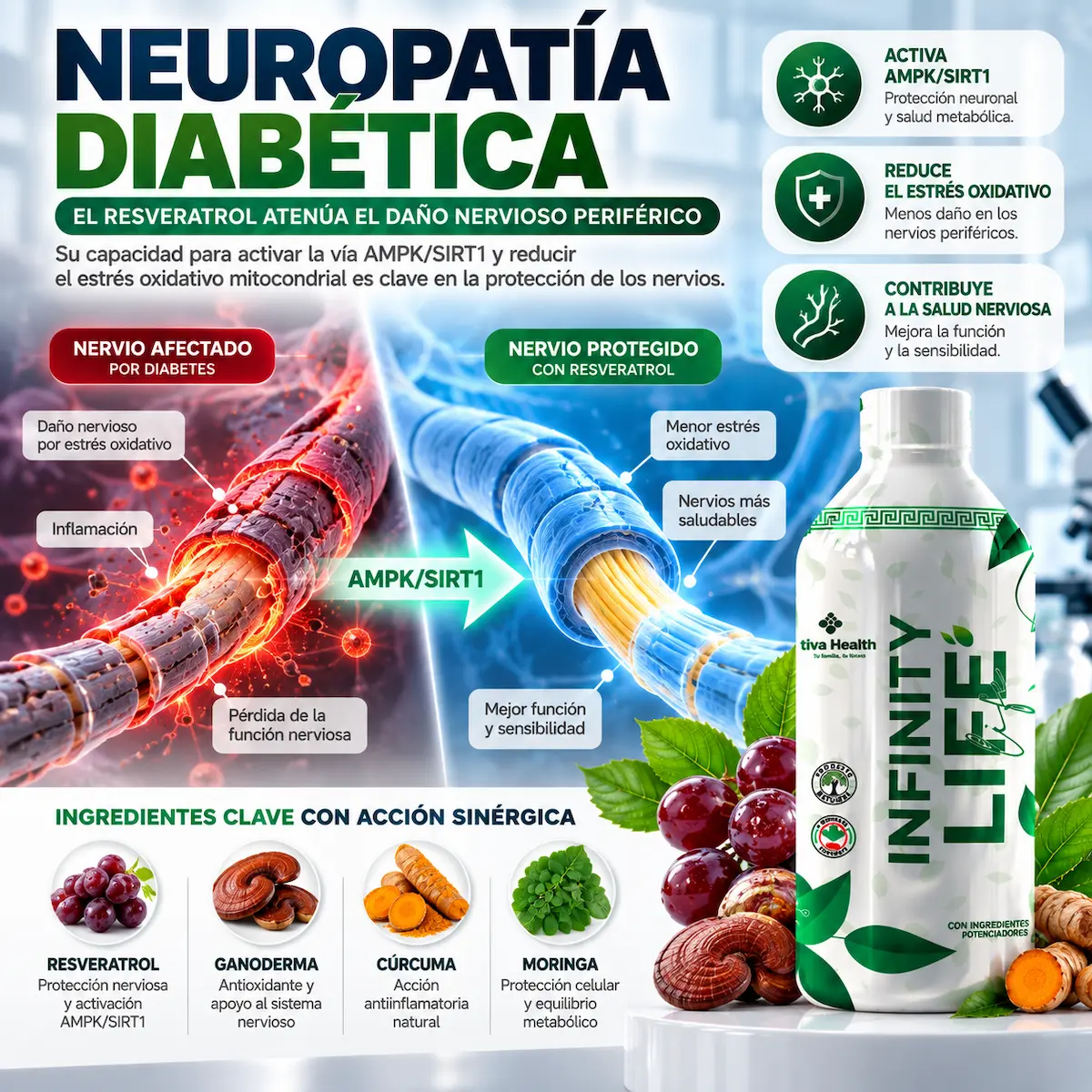 Contexto educativo sobre neuropatía diabética