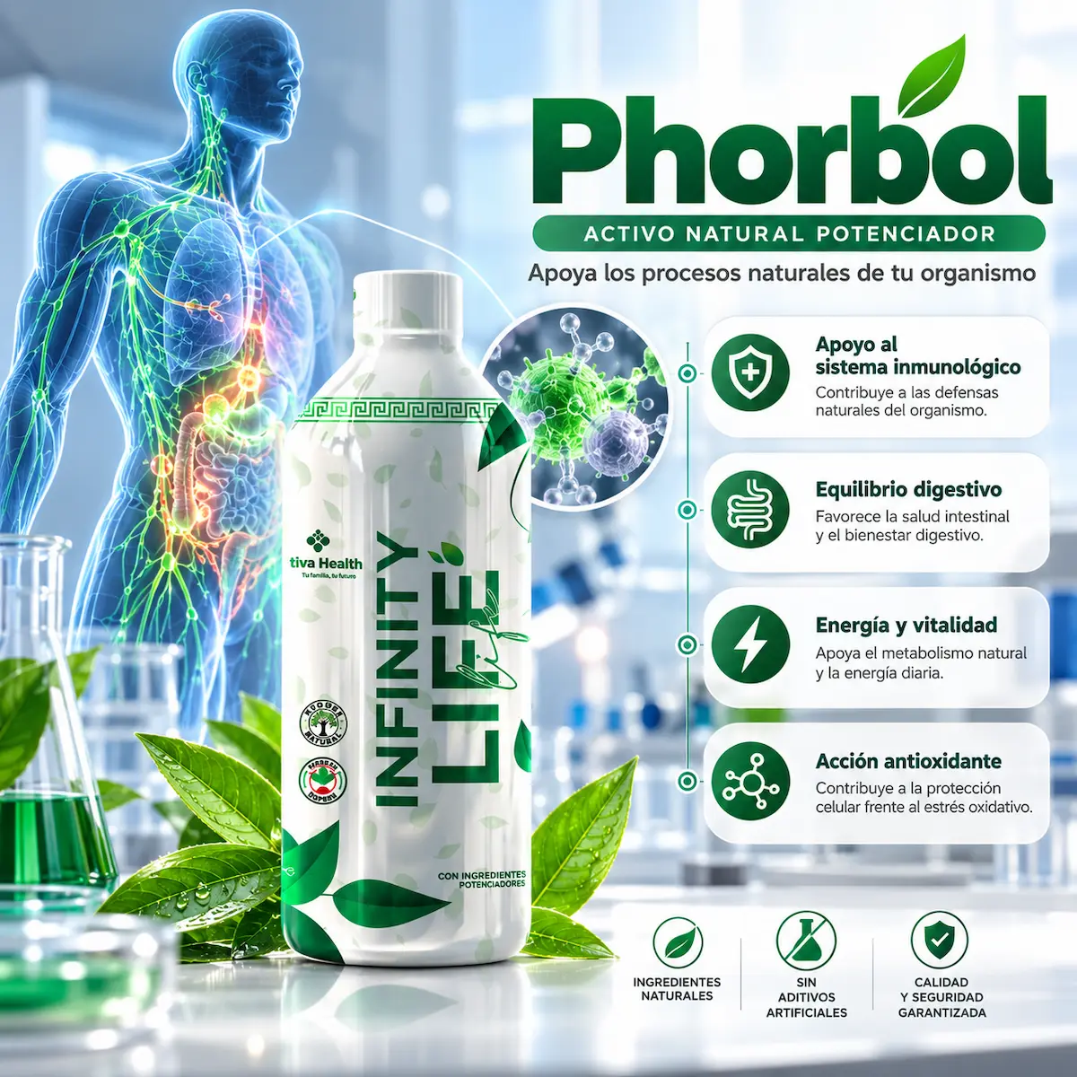 Phorbol y fitohormonas declarado en Infinity Life