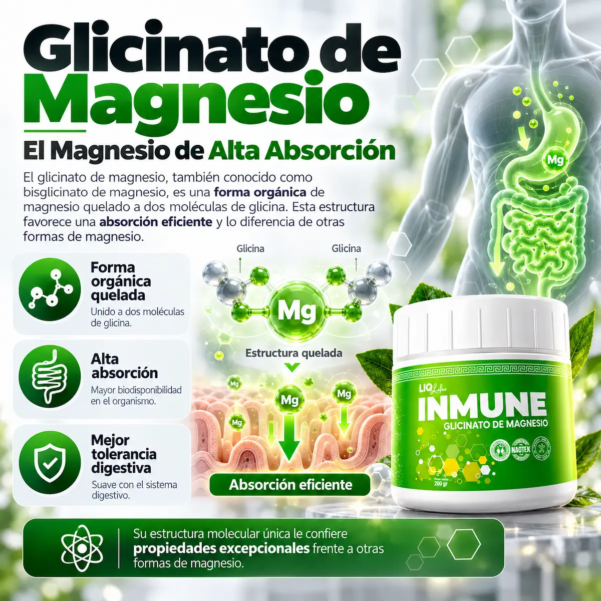 Glicinato de magnesio declarado en Inmune