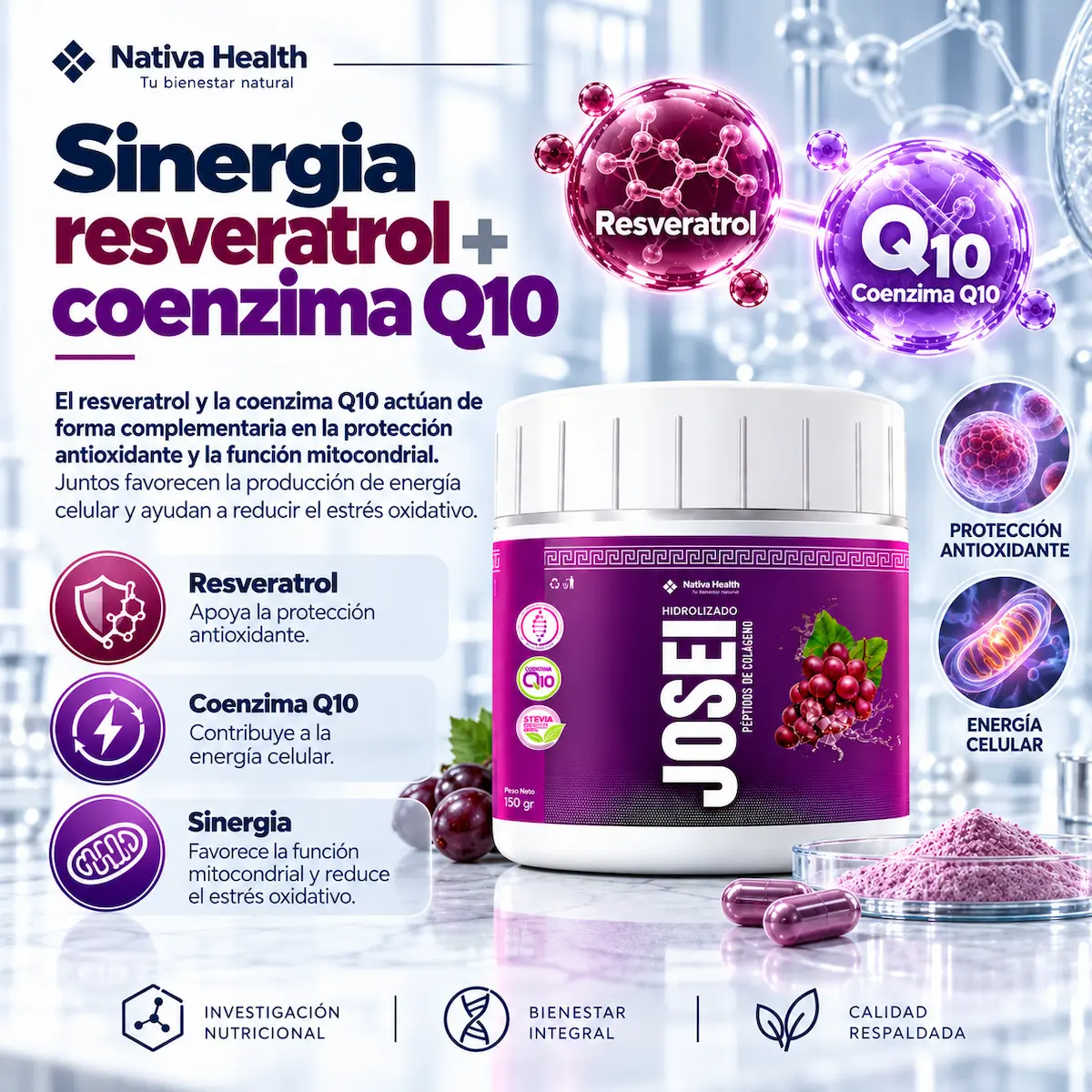 Resveratrol y coenzima Q10
