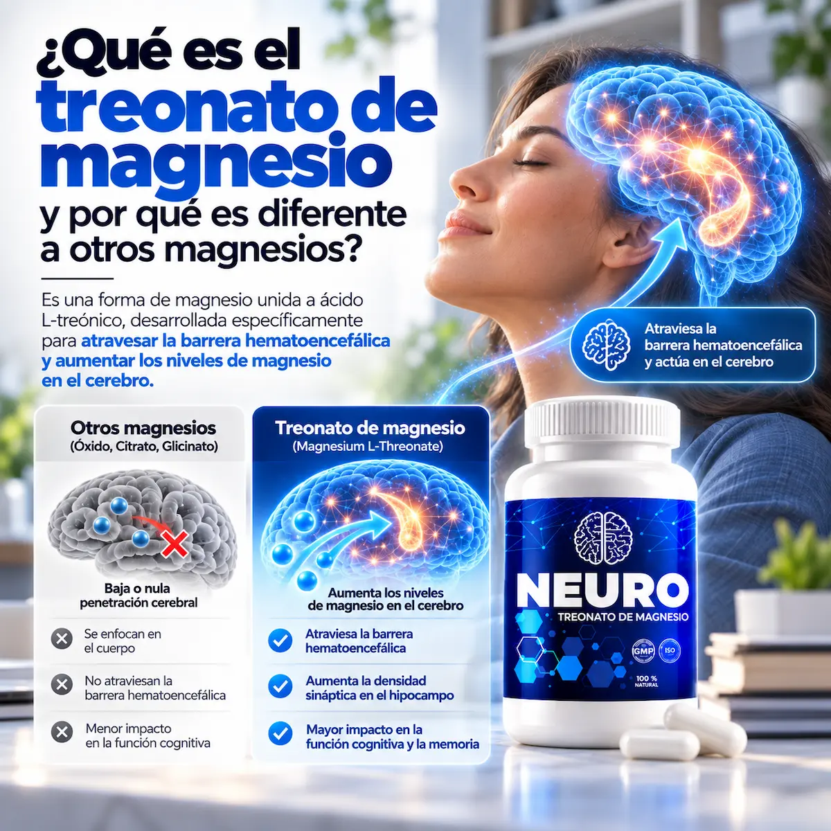 Absorción y sistema nervioso en NEURO