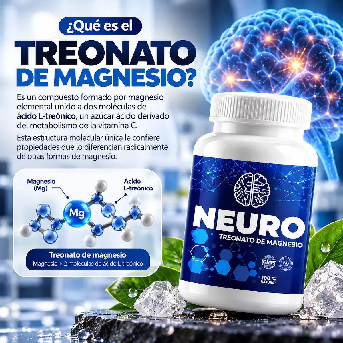 Treonato de magnesio declarado en NEURO