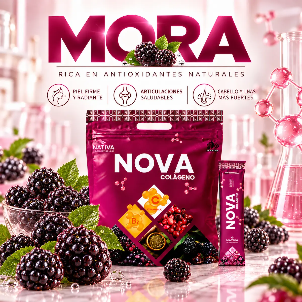 Mora y stevia de Colágeno Nova