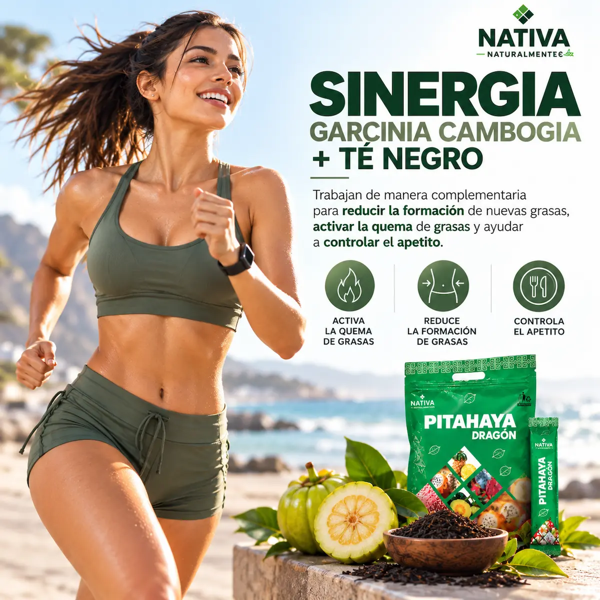 Garcinia cambogia y té negro en la fórmula declarada de Pitahaya Dragón