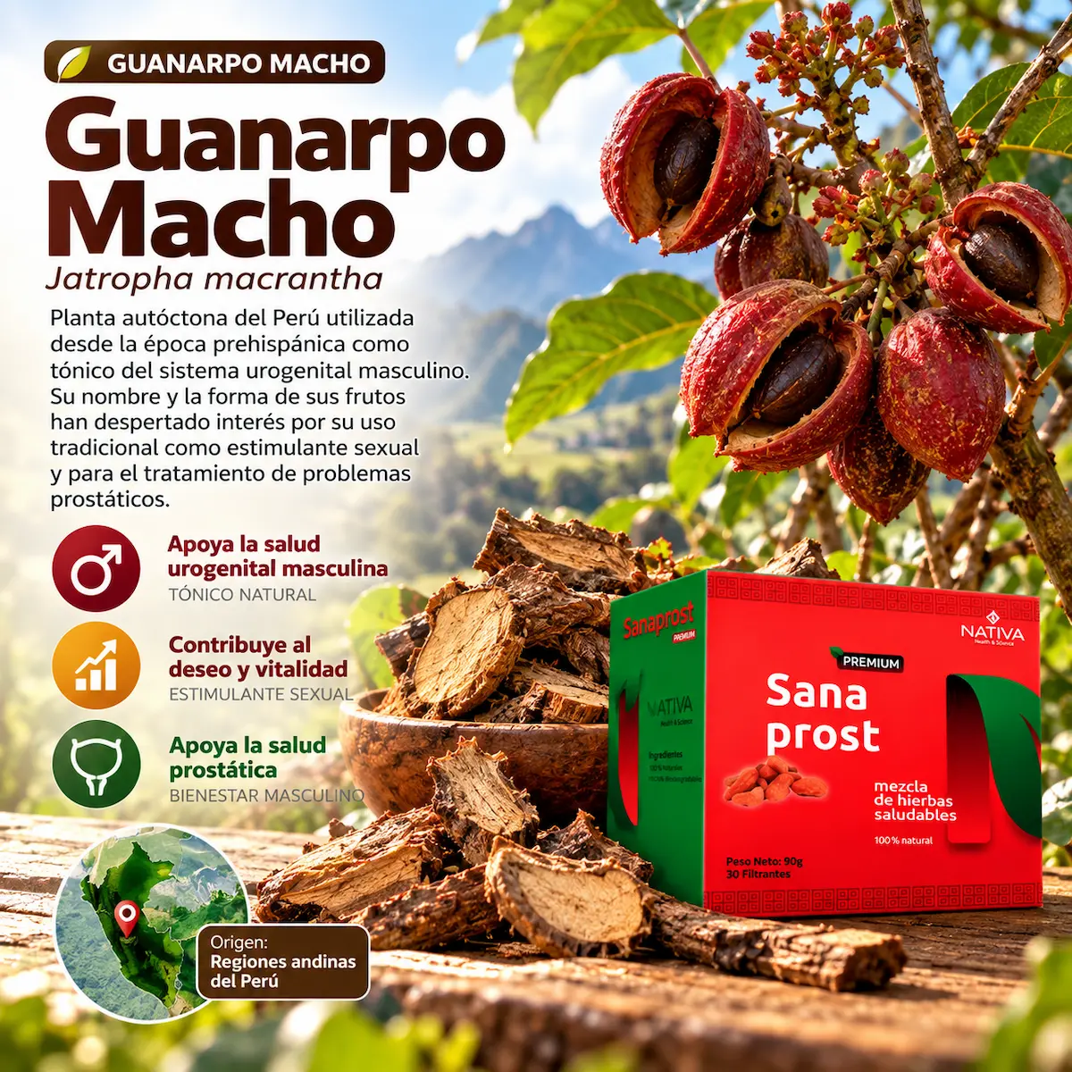 Guanarpo macho declarado en Sana Prost