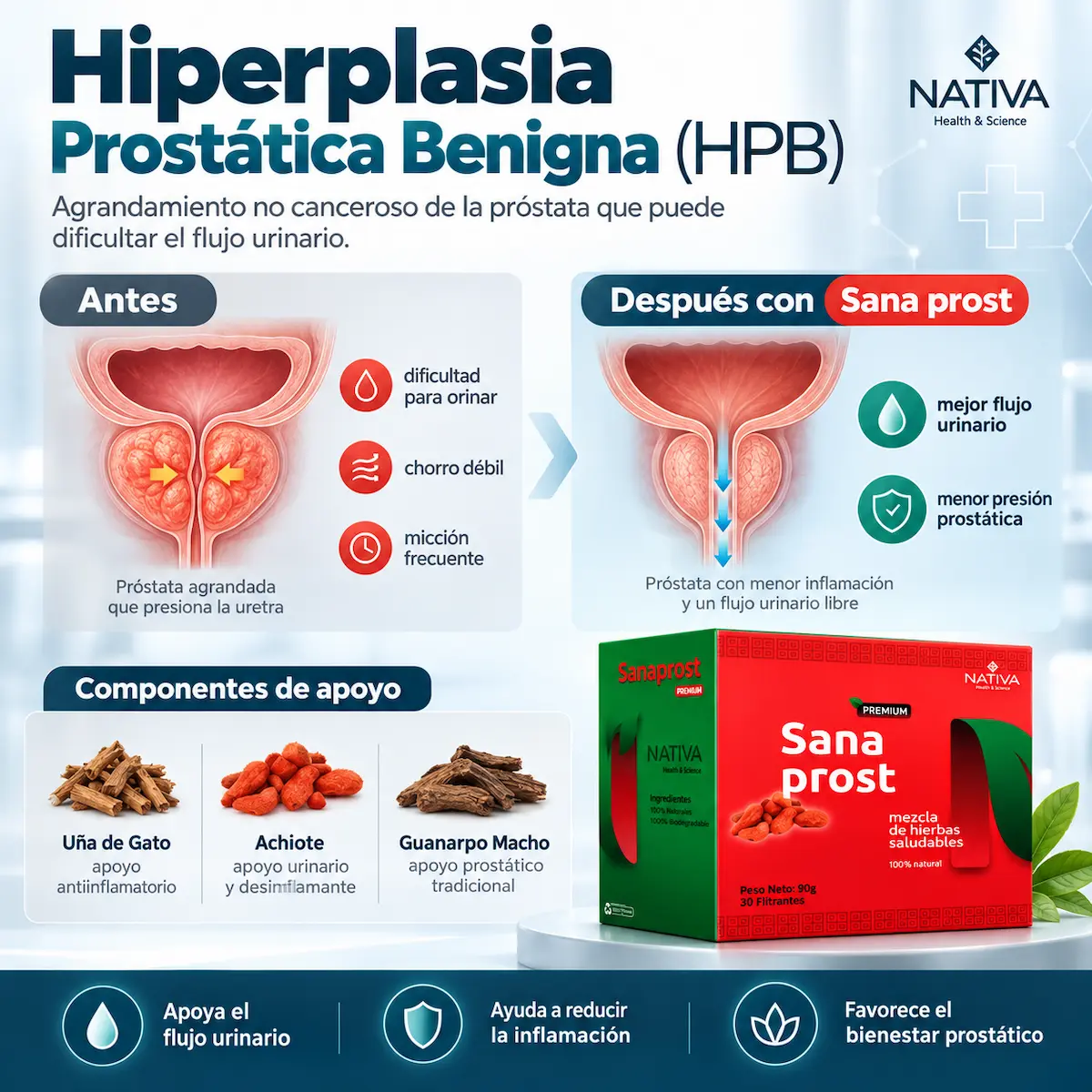 Información sobre hiperplasia prostática y Sana Prost