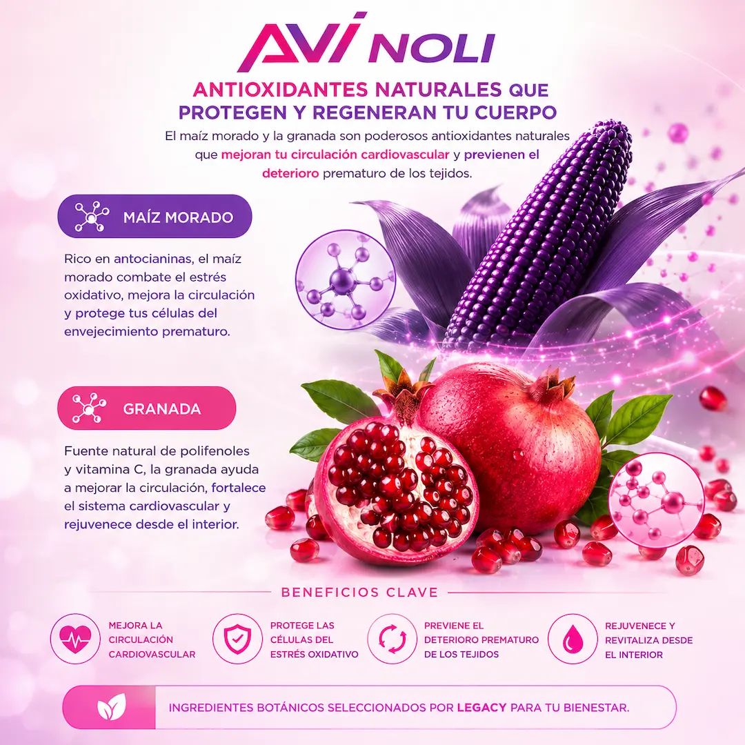 Maíz Morado y Granada – antioxidantes naturales