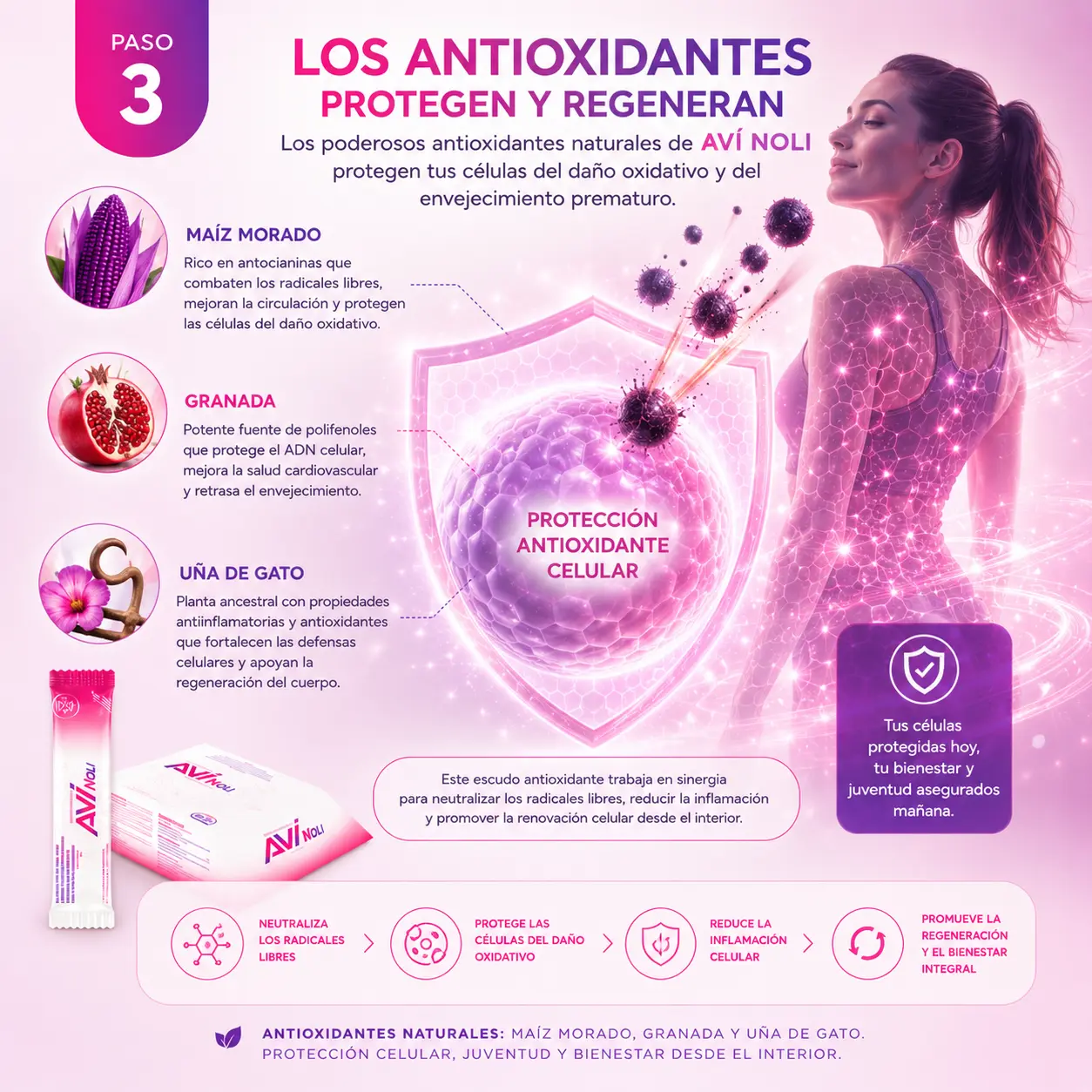 Antioxidantes de AVÍ NOLI protegiendo las células del daño oxidativo
