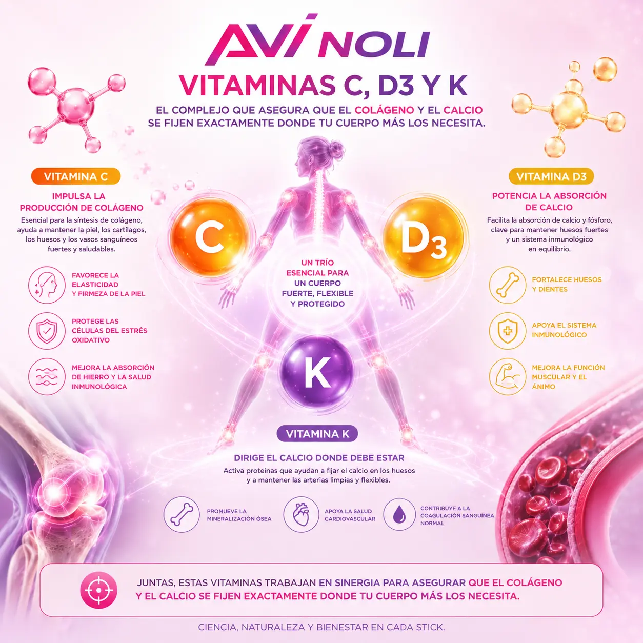 Vitaminas C, D3 y K – fijación del colágeno