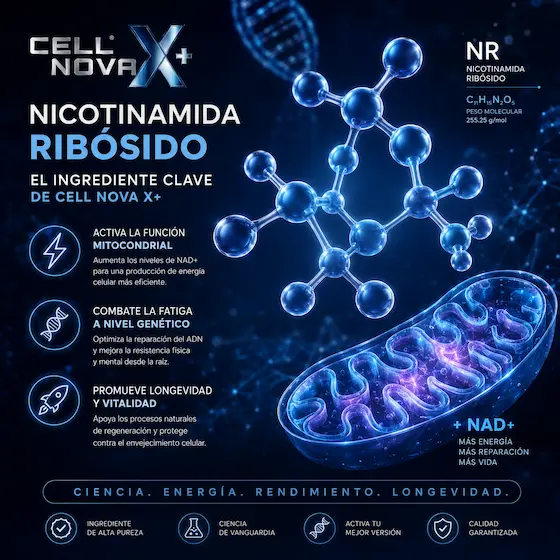 Nicotinamida Ribósido – precursor de NAD+ para energía celular