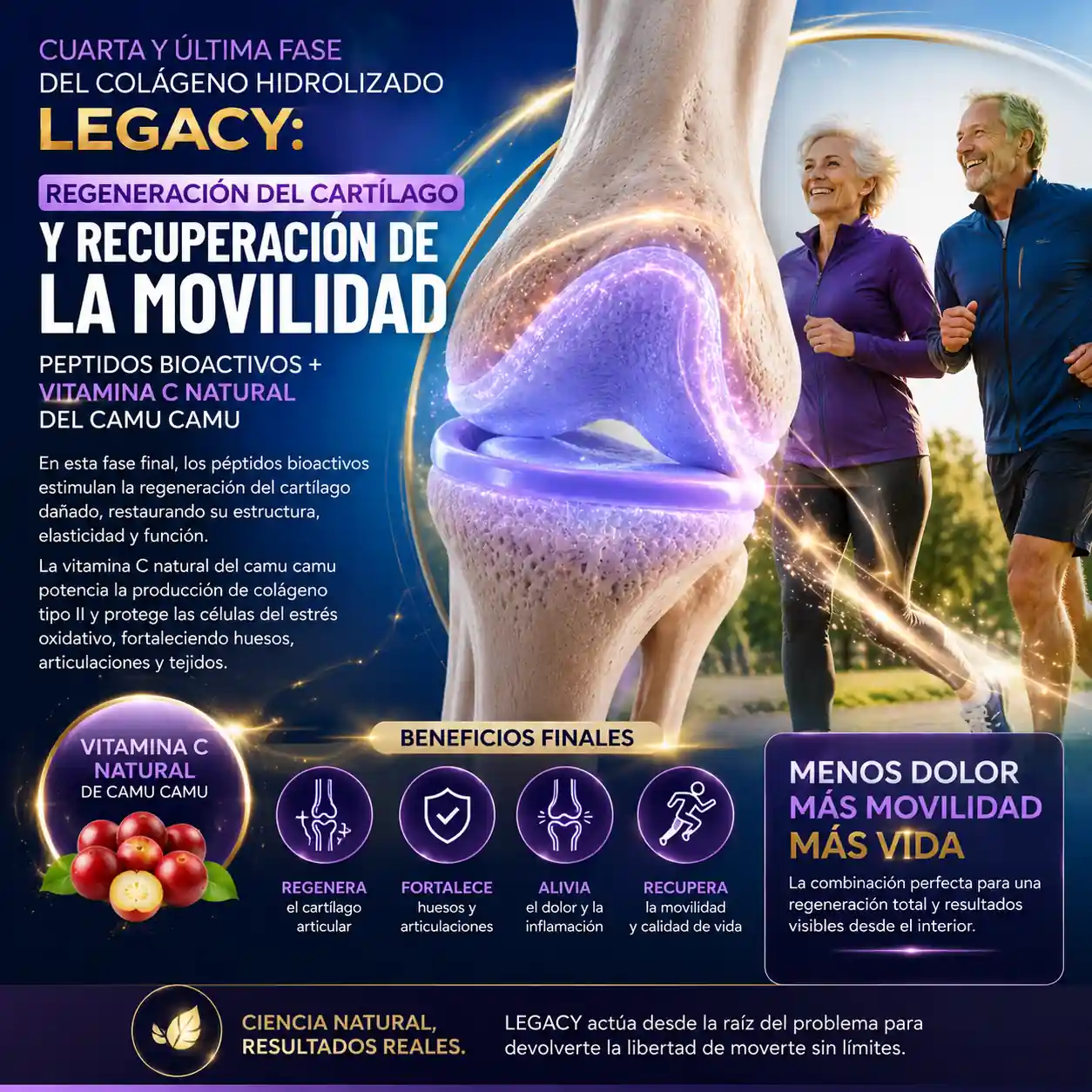 Regeneración del cartílago articular con colágeno hidrolizado LEGACY