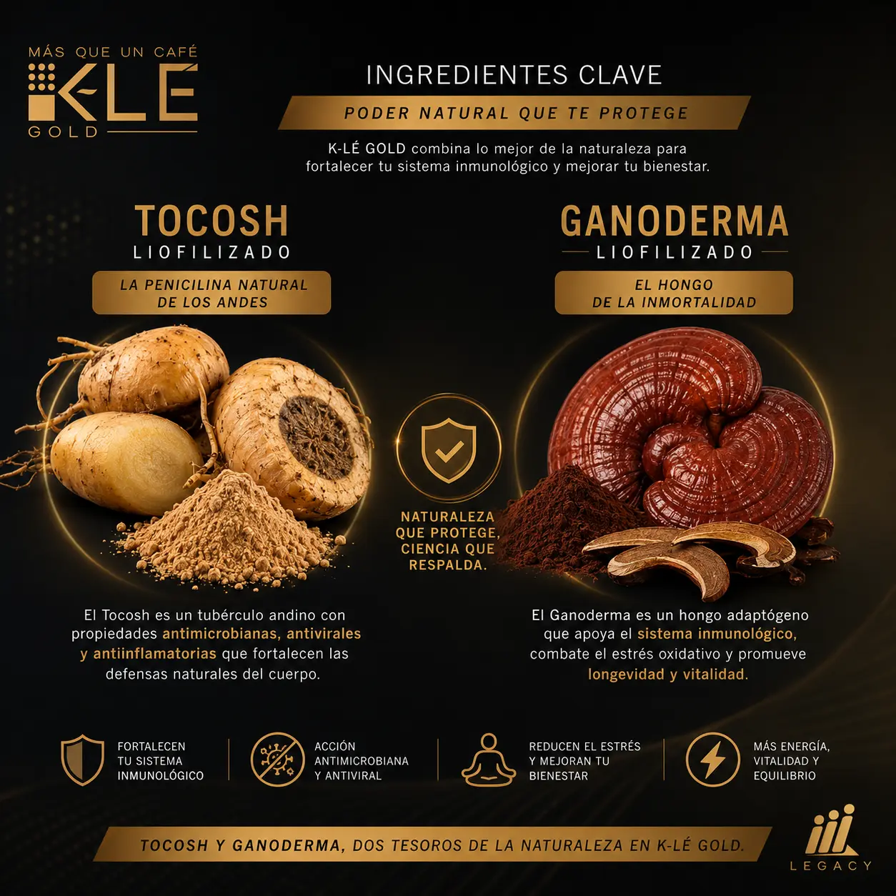 Tocosh y Ganoderma – penicilina natural de los Andes