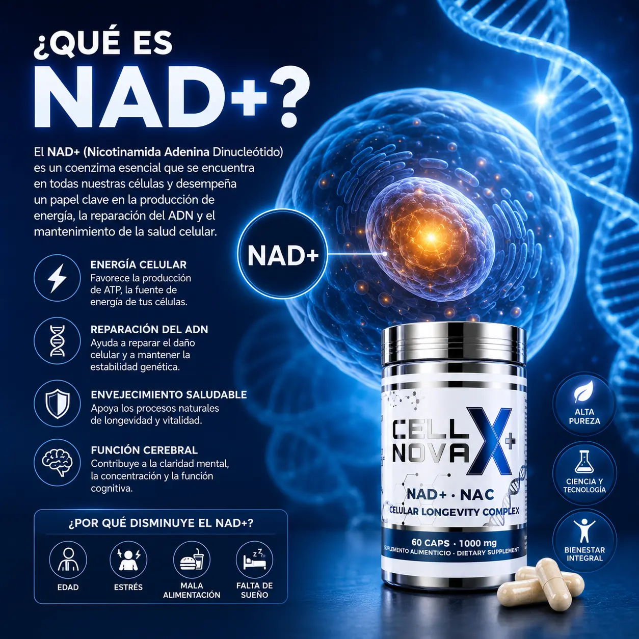Qué es el NAD+ y cómo afecta tu energía celular