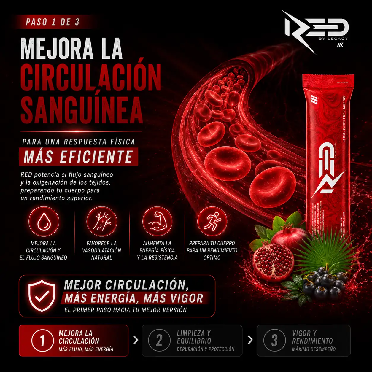 Mejora de la circulación sanguínea con RED suplemento