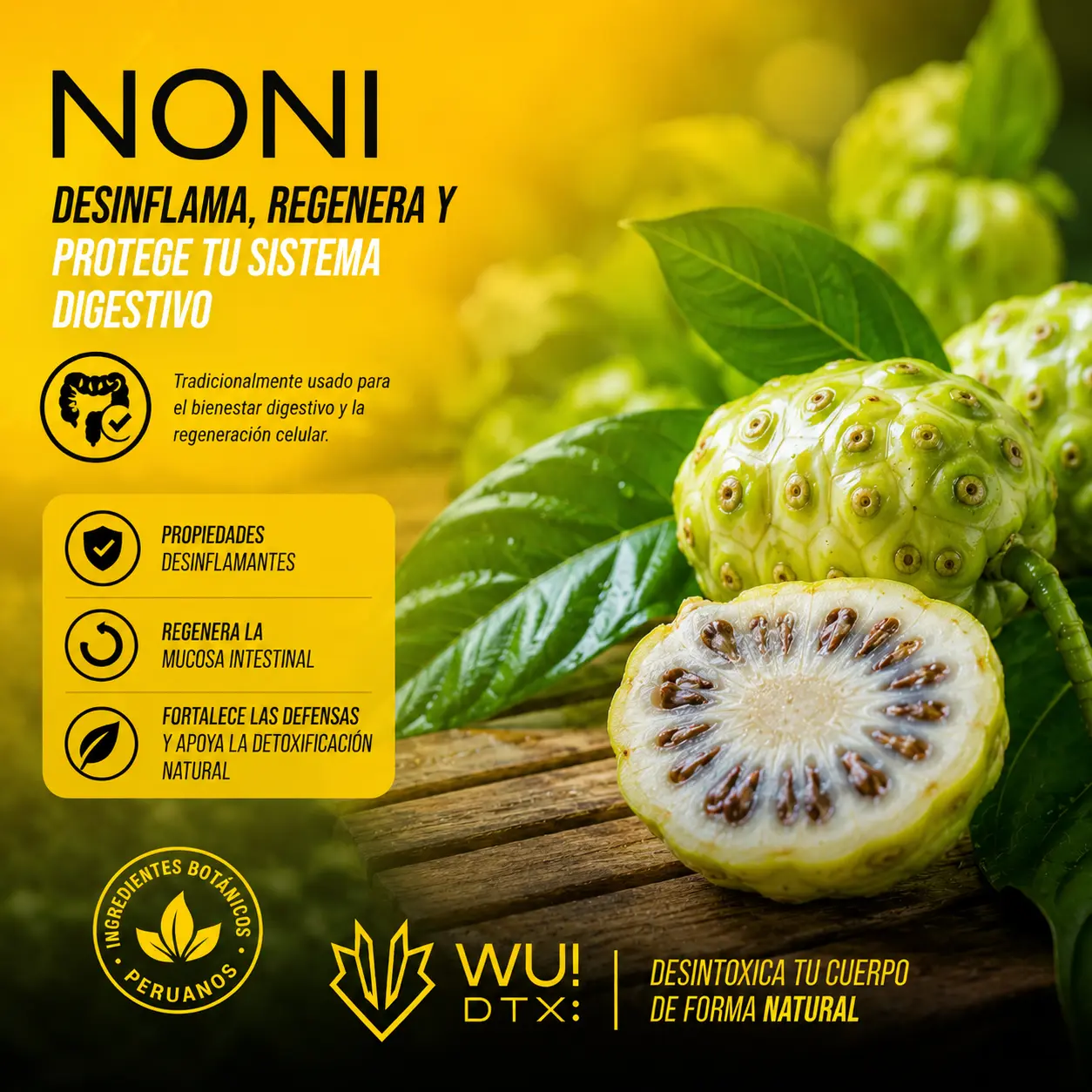 Noni – desinflamante y regenerador celular estomacal