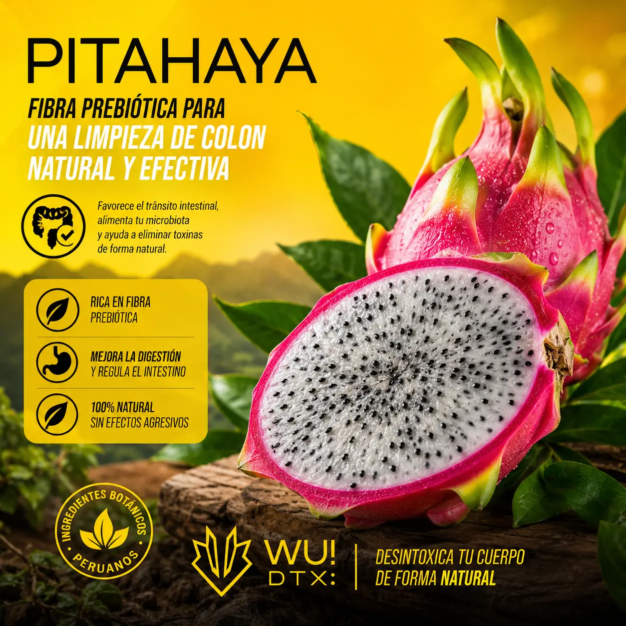 Pitahaya – fibra prebiótica natural para el colon