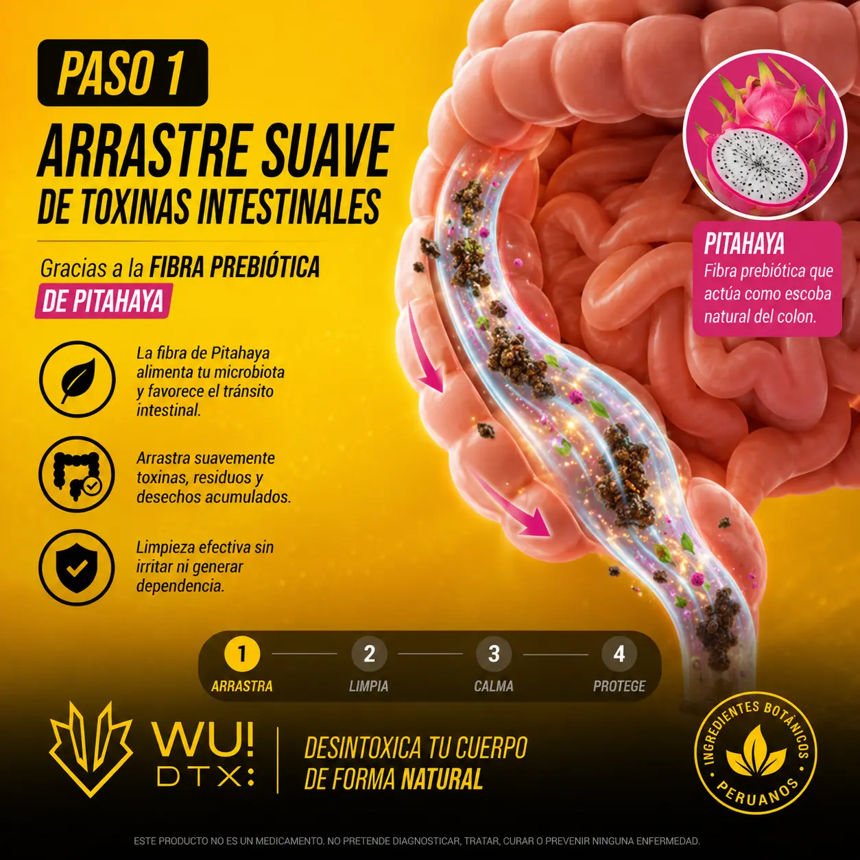 Arrastre suave de toxinas con la fibra de Pitahaya de WU! DTX