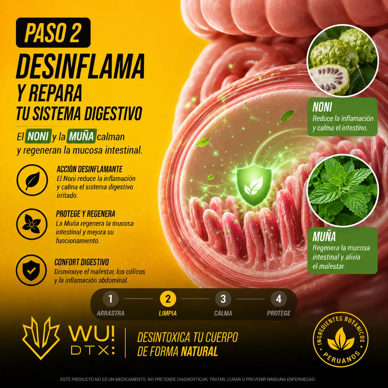 Desinflamación intestinal con Noni y Muña de WU! DTX