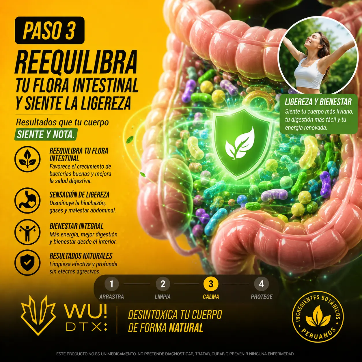 Equilibrio de la flora intestinal con WU! DTX