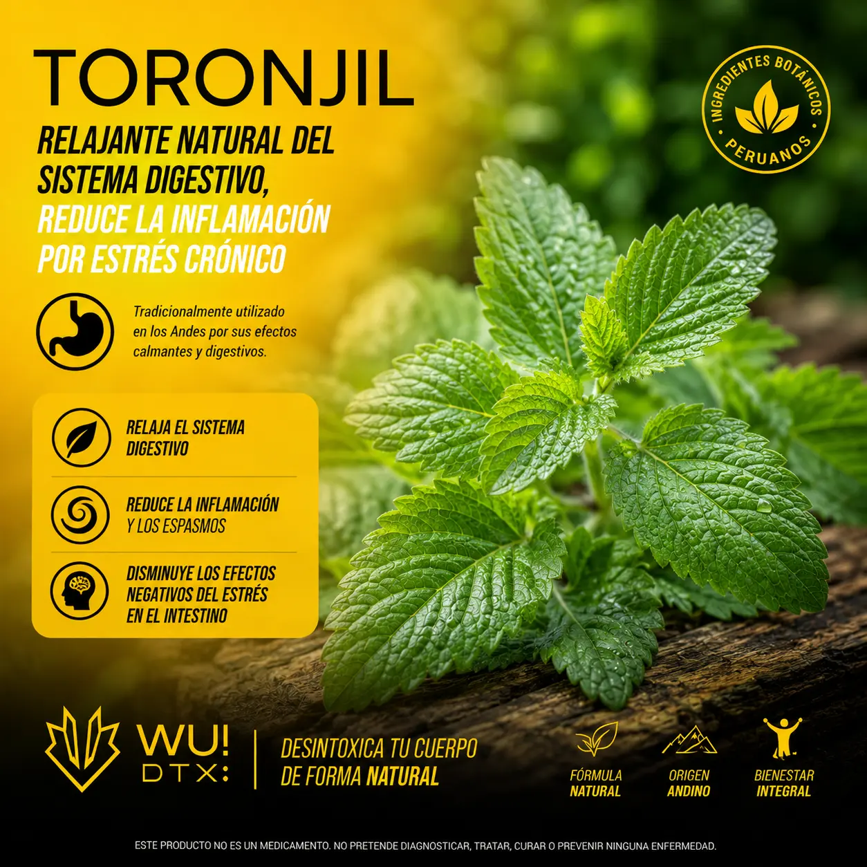 Toronjil – relajante natural para la inflamación gástrica